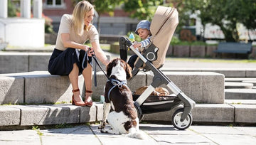 Stokke has safe and functional car seats that can